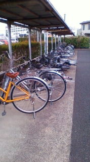 今日は風が強いですね