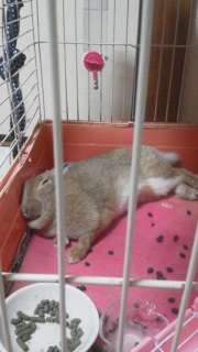 すぴー…zzz